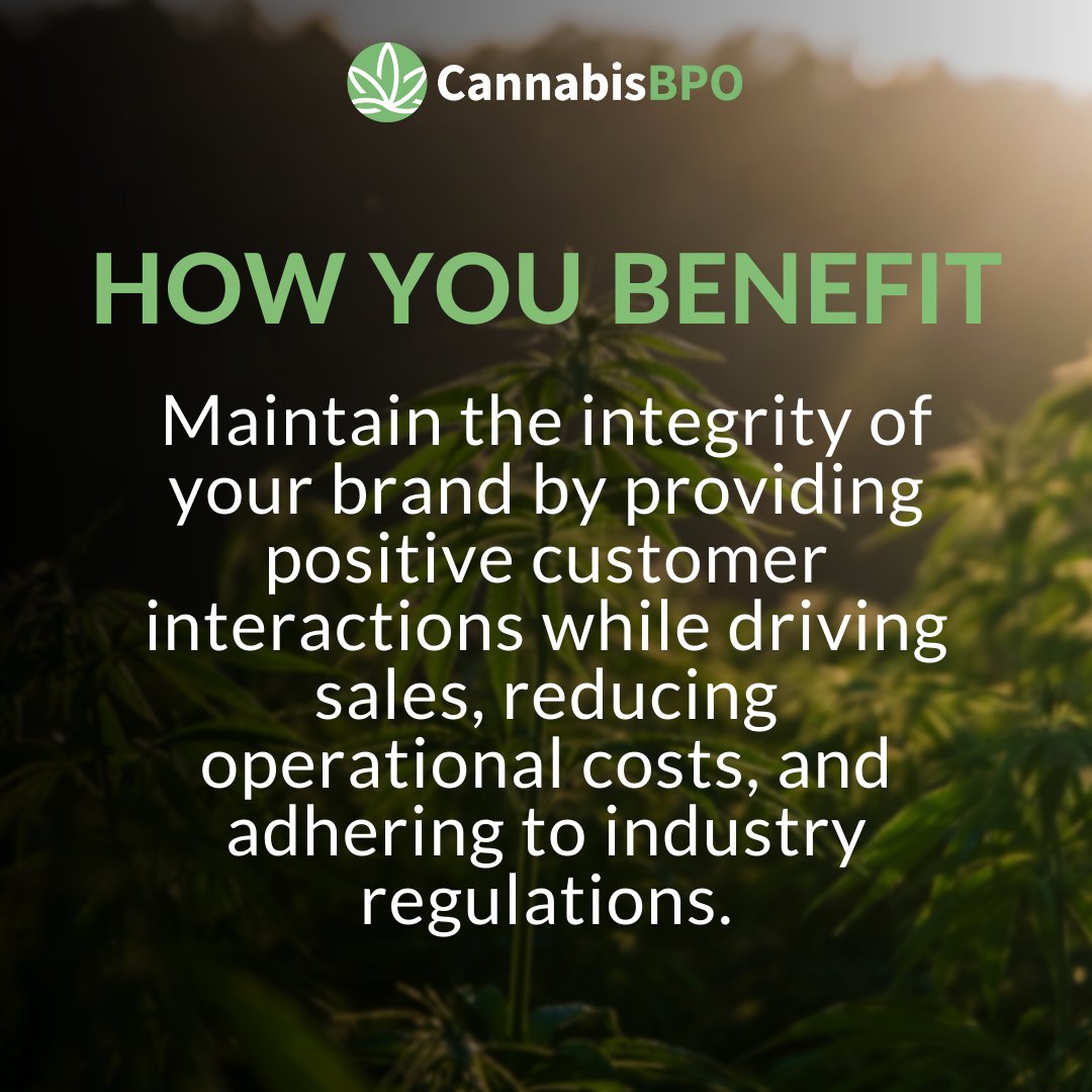 By outsourcing all or some of your business's needs, you can help increase productivity, cut overall expenses, provide better customer service and so much more! 

#outsourcing #cannabis #cannabisculture #cannabisbpo #callcenter #strategicpartner