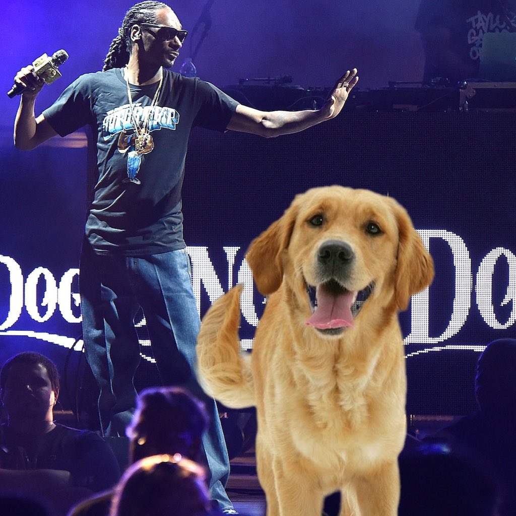 dogsvacay's tweet photo. Front row seats to a Snoop Dogg concert! https://t.co/U9OzRTkXR6