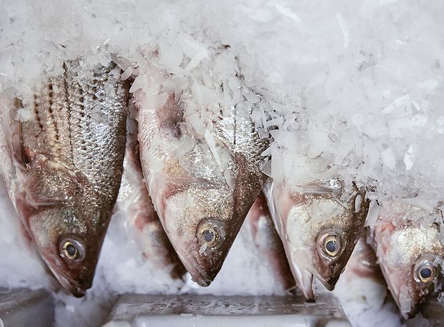 Find yourself a good catch and try our ocean raised #PacificoBass. 🐟

📷: <a href="/thefishguysinc/">The Fish Guys</a>