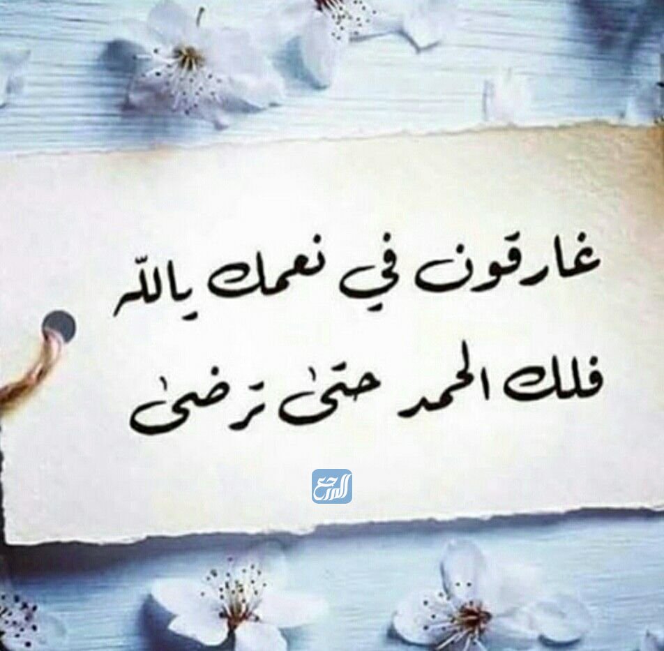 هاني سايبي (@hanisaibi) on Twitter photo 