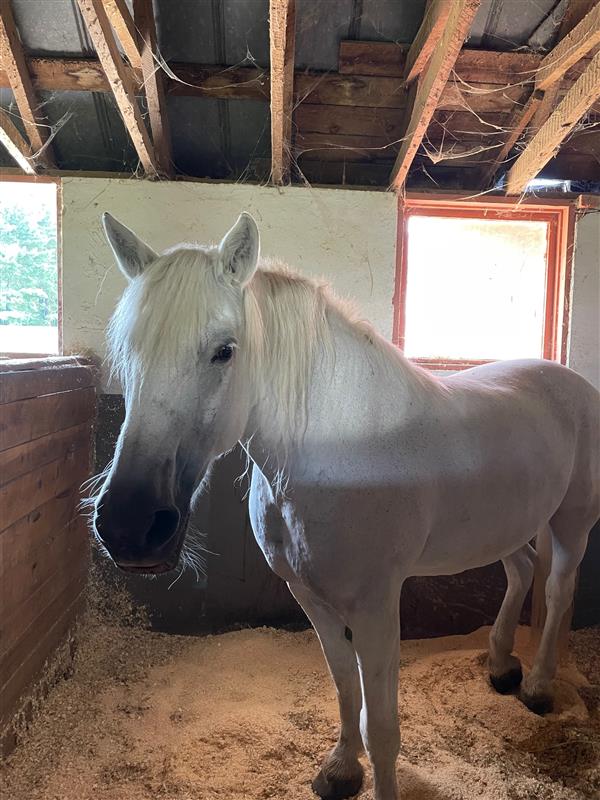 Impact Health tweet media