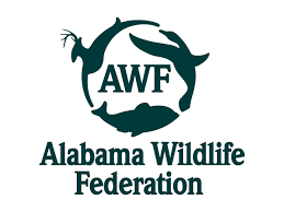 DISLFoundation's tweet photo. Marine Enviromental Awards Speaker and Winners
Gulf Coast Marine Enviromental Excellence Award -Angus Cooper III and Gulf Coast Leadership Award - Alabama Wildlife Association. Dr David Gallo will be our speaker. For more information go to 
https://t.co/o6IhAO5TMN https://t.co/DfISbB3xY9