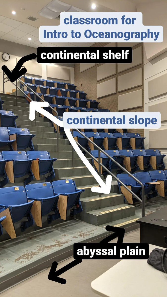 carabonate's tweet image. Checking out my classroom for Introduction to Oceanography today 👩‍🏫