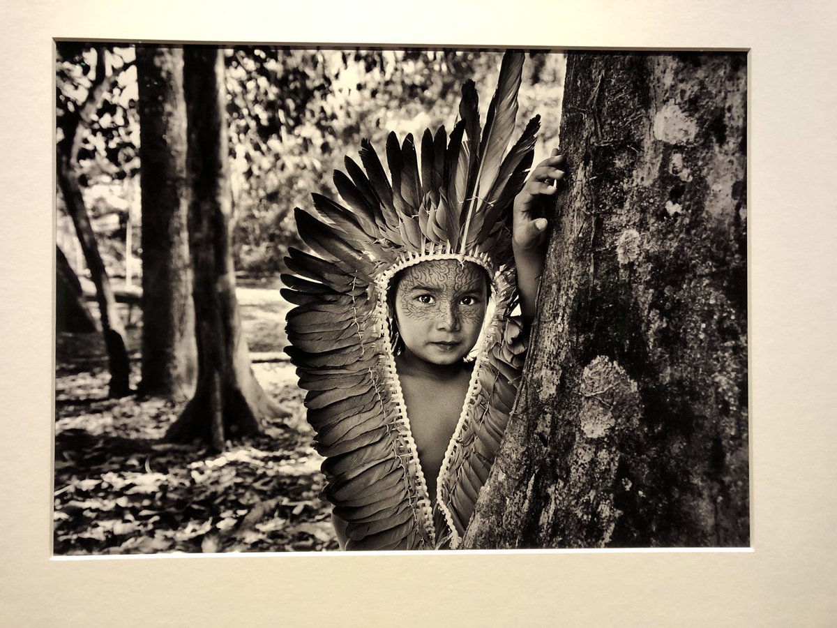 Greta_pet's tweet photo. Thank you Salgado 

#Salgado #Amazônia #IndigenousPeoples #preserveNature @Museo_MAXXI https://t.co/FNKXlOVsPK