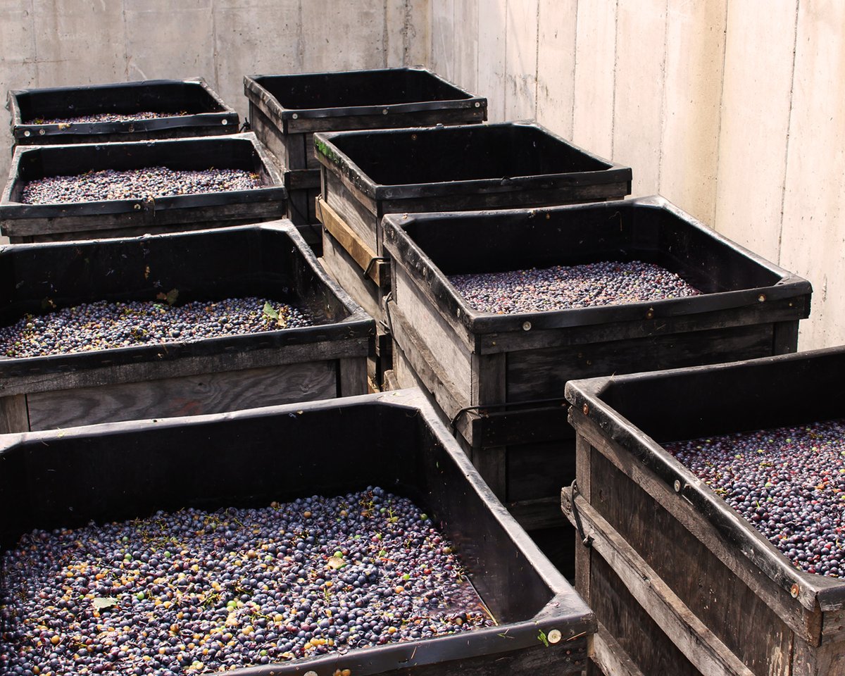 The Blufftop at Rocheport tweet media