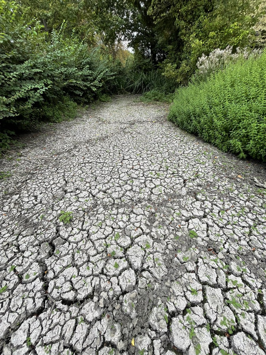 Rob Jewers tweet media