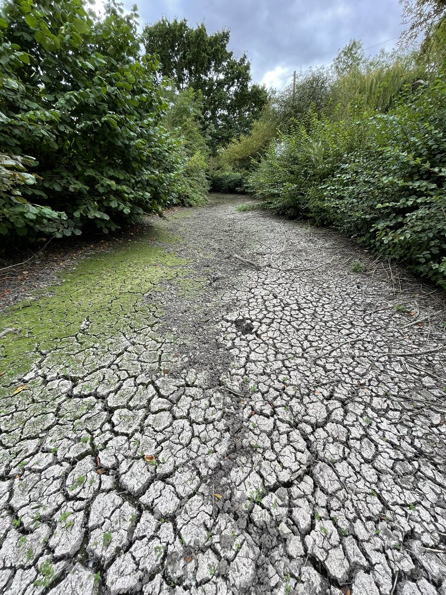 Rob Jewers tweet media