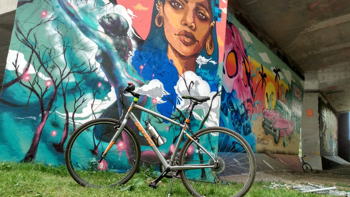 sbg_arch's tweet photo. Little #teamSilverBird #ottbike loop to check out the new #HouseOfPainT murals. And kick off staycation week. https://t.co/Cdy7lkMh9A
