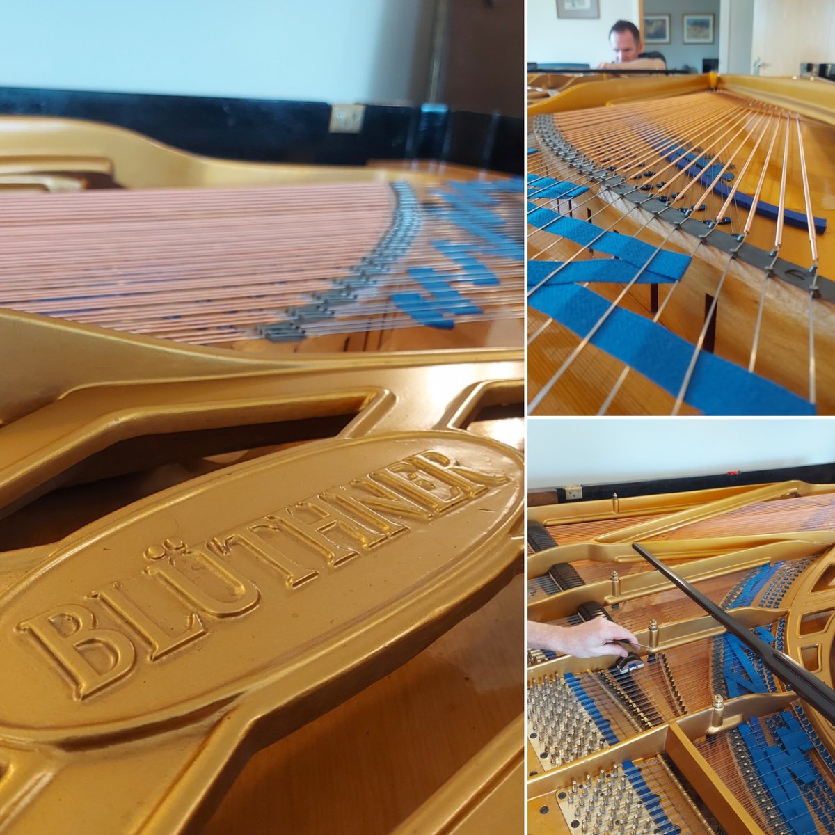 Aidan finishing off restringing a Bluthner concert grand and fitting the dampers.  You just can't beat that blue and gold combo! 💙 💛🏆
#restring #goingtosoundamazing #bluthner #grandpiano #pianotechnician #pianotuner #thepianoworkshop #passionforperfection  #northyorkshire
