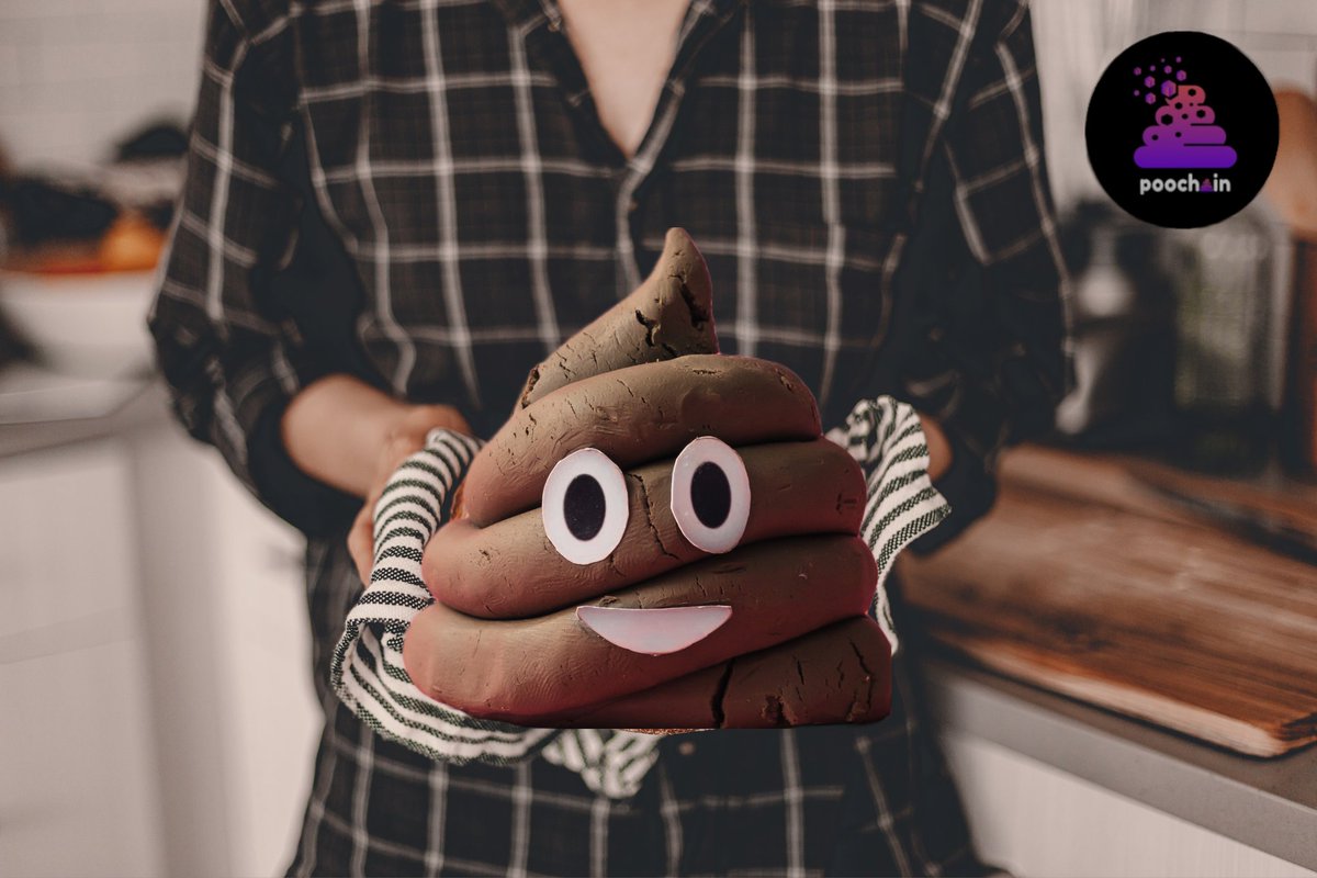 Somnuzzzz's tweet image. Another step on the journey to financial freedom! #poochain $poop #poochainblockchain