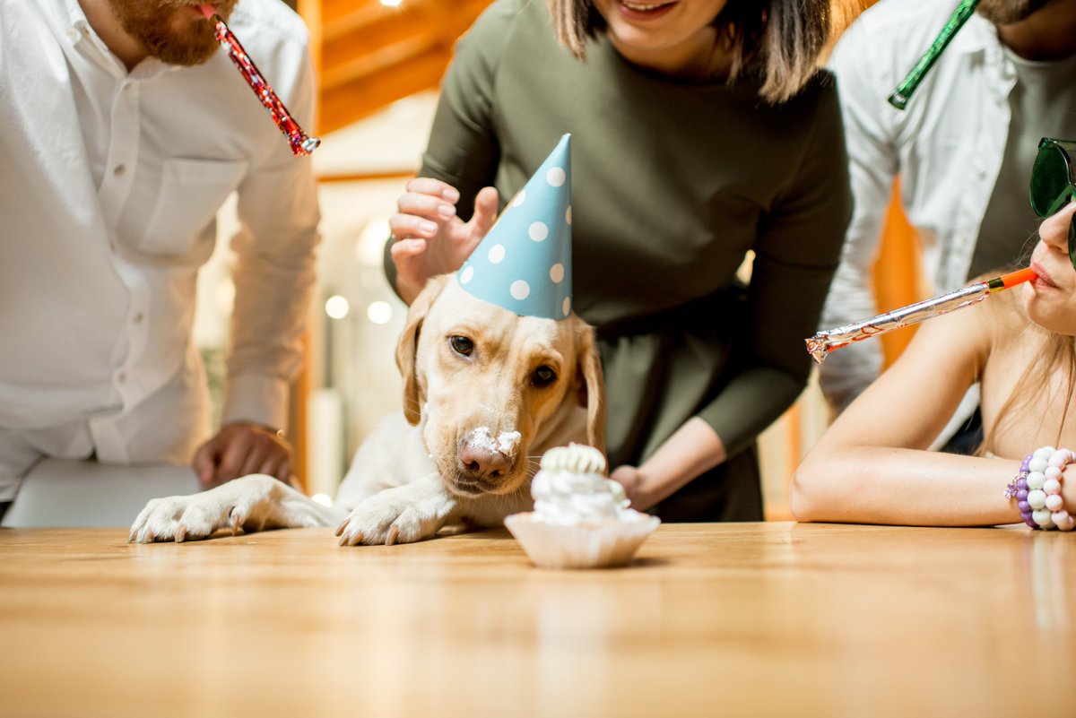 Tweet by Missouri Veterinary Medical Association