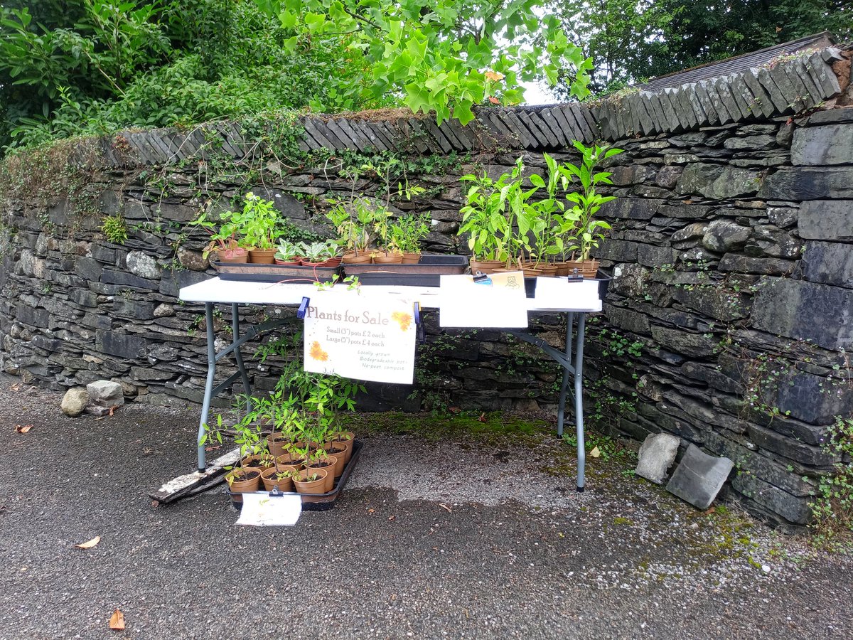 Michael Rollinson DL tweet media