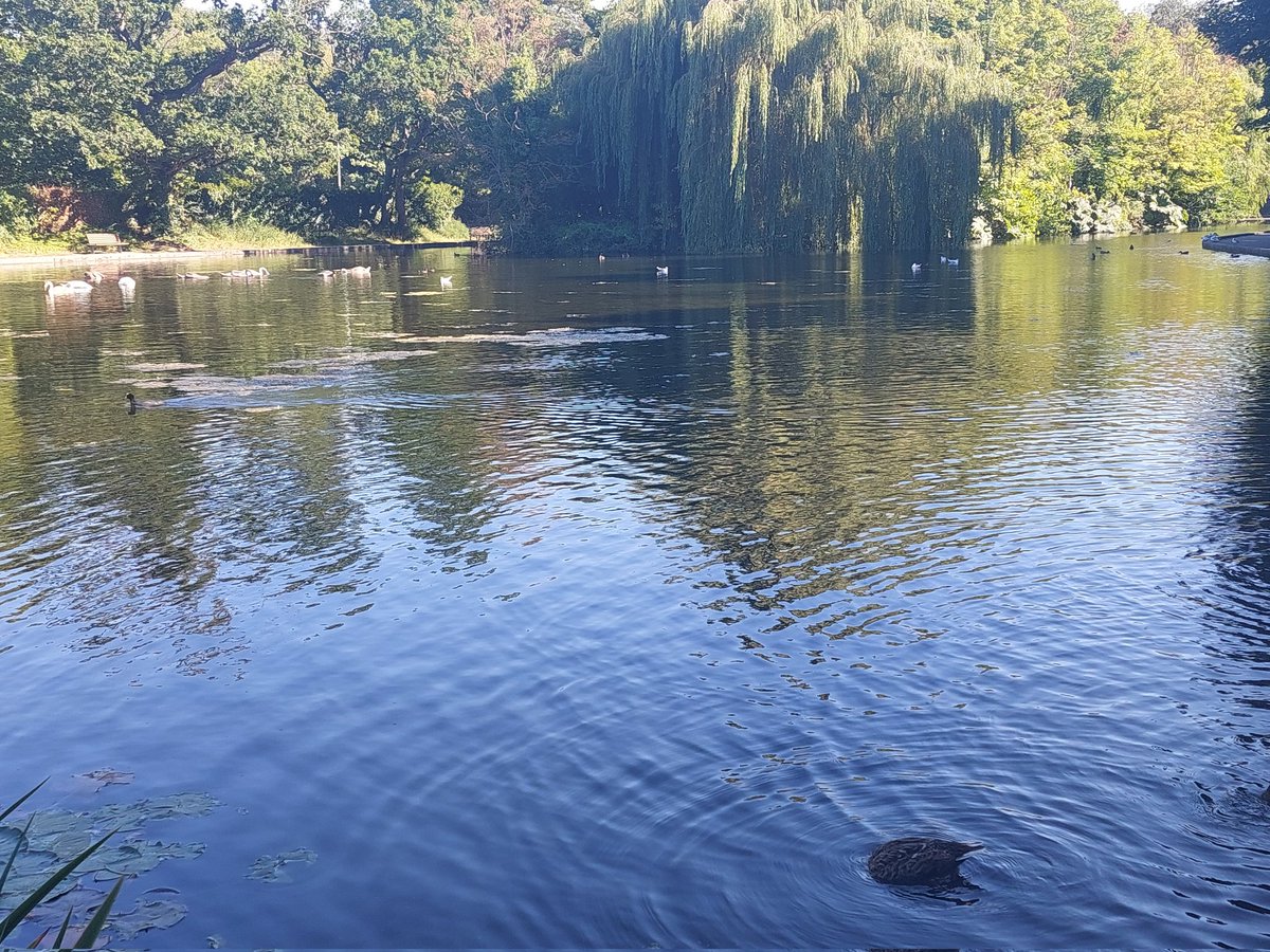 It's called pond