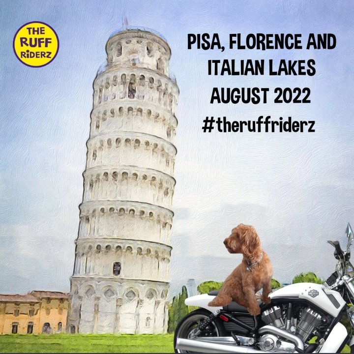 MiloNames's tweet image. #NewProfilePic