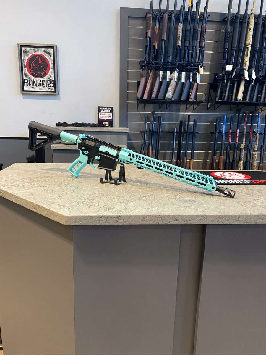 Looking to personalize your AR-15? Check out these Timber Creek Enforcer Kits! They come in all different colors! #timbercreek #range129