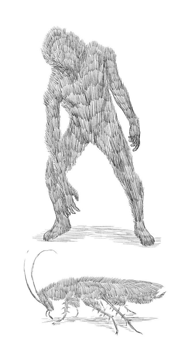 zedecksiew's tweet photo. 🚨ROACH GOD, DELAYED🚨

Felt some *feels*, writing this month's #ROTRG update, telling folks the book will be late. 

Delivery will now be February/March 2023.

(Was hard mainly because it feels like an admission of defeat.)

Still: draft layout of the bestiary is done. Progress! https://t.co/aBVjhTPEIO