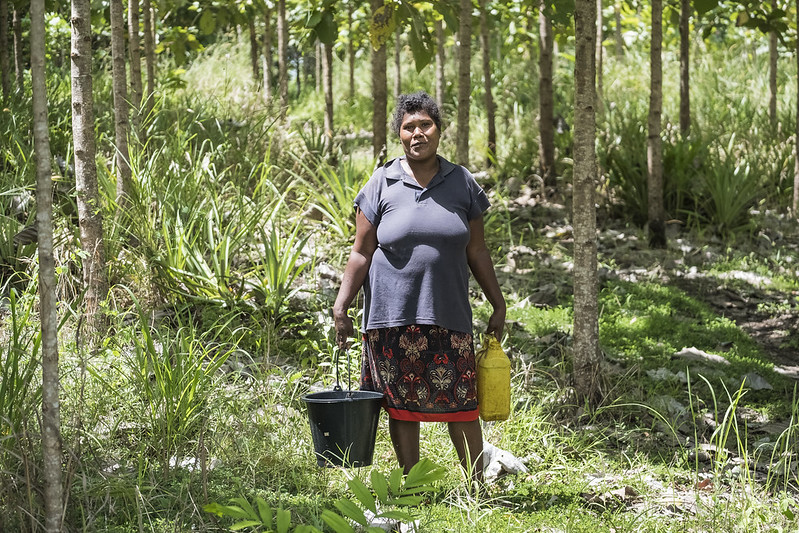 💡Investing in forests and forestry represent an investment in people and their livelihoods, especially the rural poor, youth and women.

Around 1.6 billion people - including more than 2,000 Indigenous cultures - depend on forests for their livelihood.

#BetterWithForests