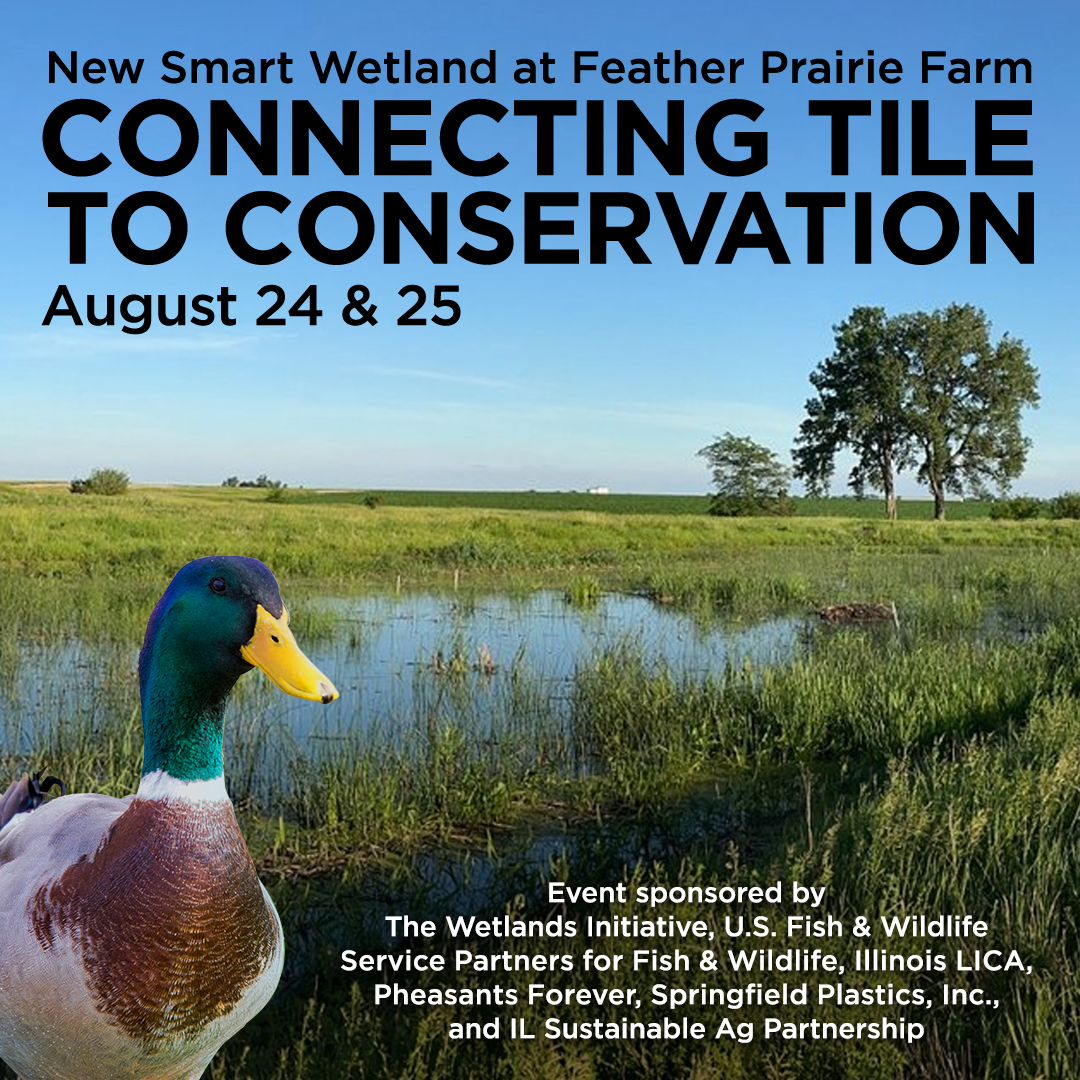 SPIPipe's tweet image. Join us as we connect tile to conservation this week. For a full list of activities visit smartwetlands.farm/smartwetland6
@IllinoisLICA @DucksUnlimited @pheasants4ever @smartwetlands @USFWSMidwest
