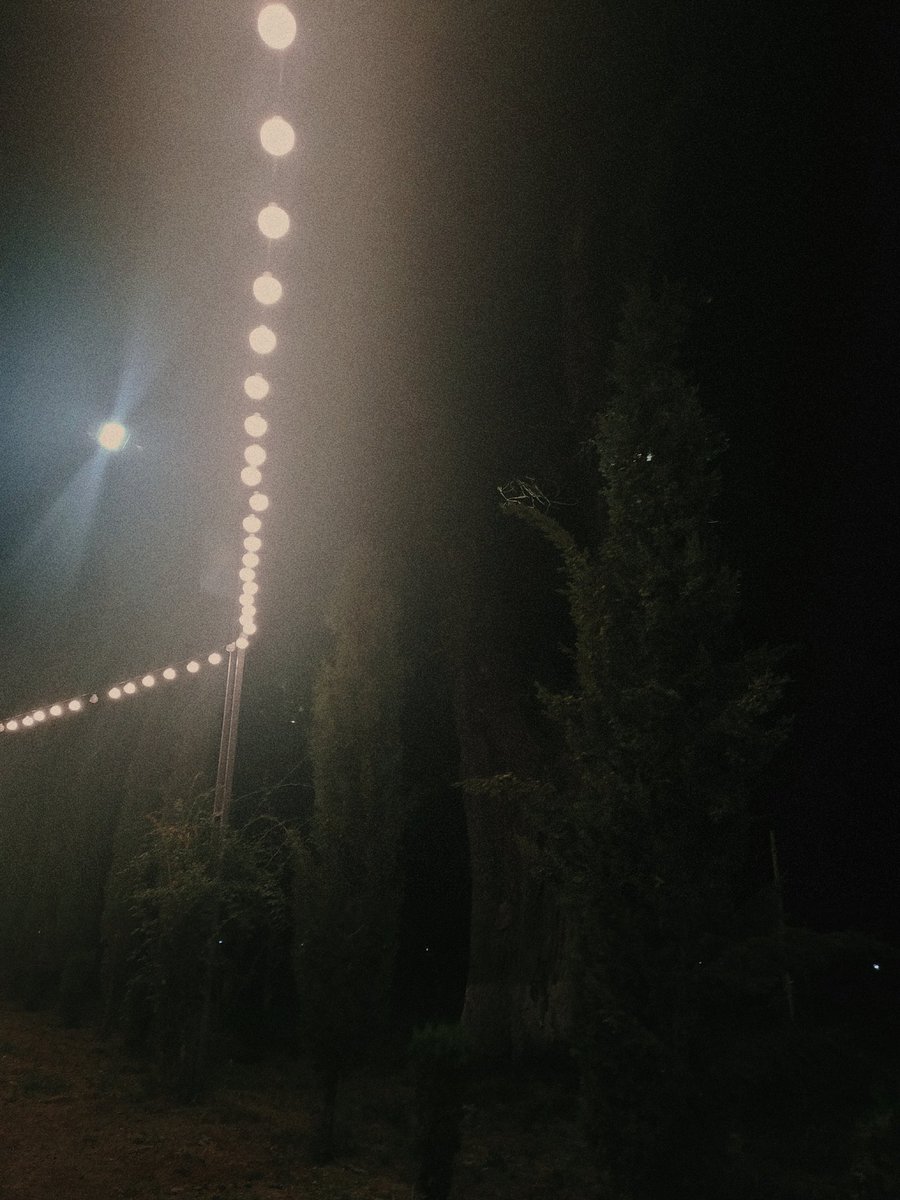GuliGigauri's tweet photo. These places always help me to think about my sadness...

Good night everyone. https://t.co/MzDre77weg