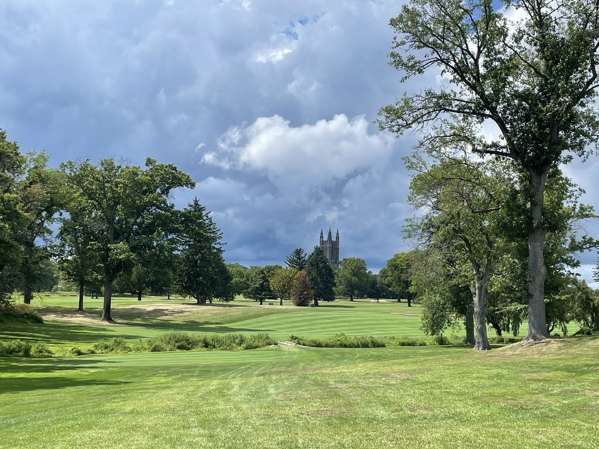 Donovan Maguigan tweet media