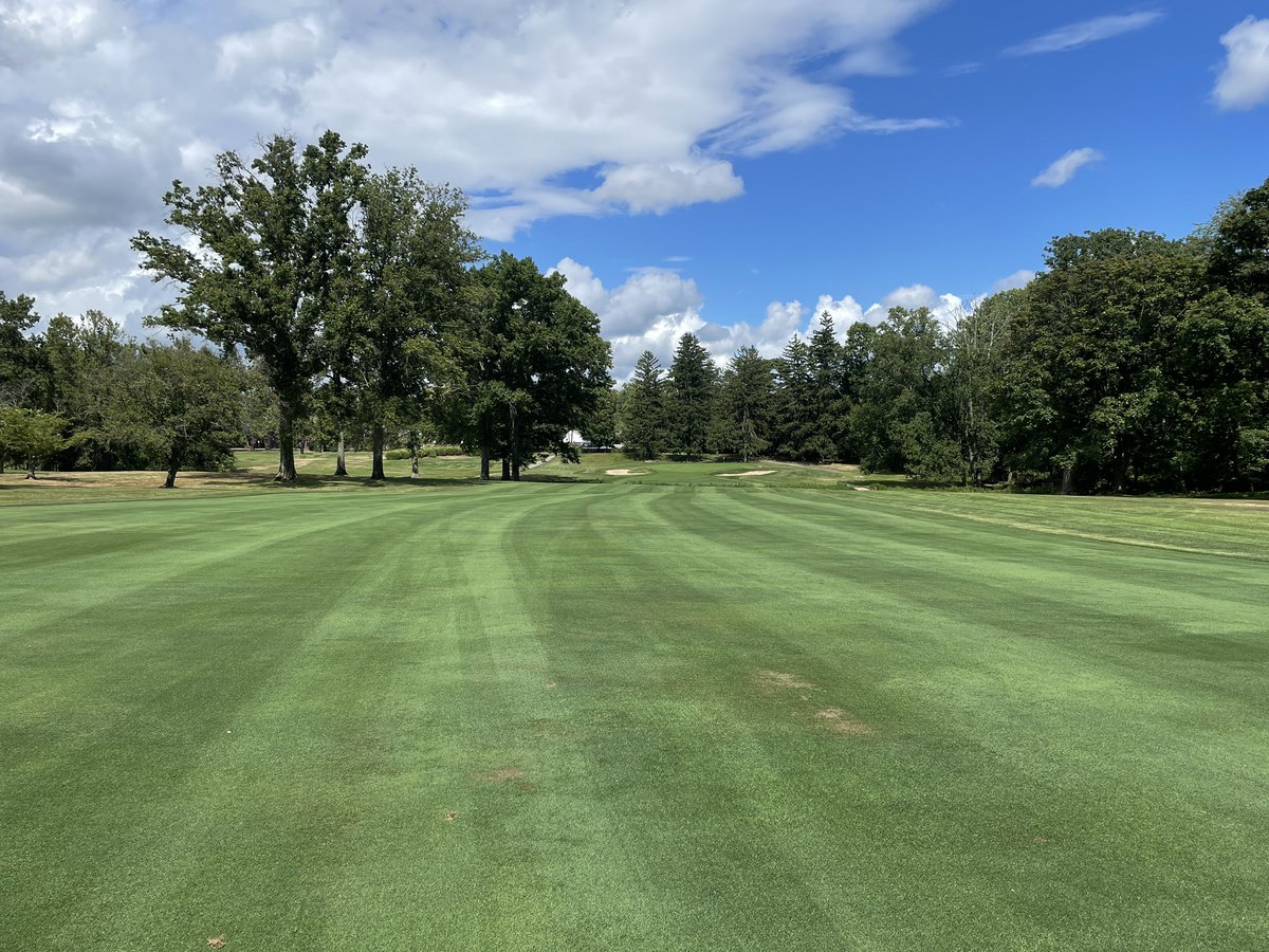 Donovan Maguigan tweet media