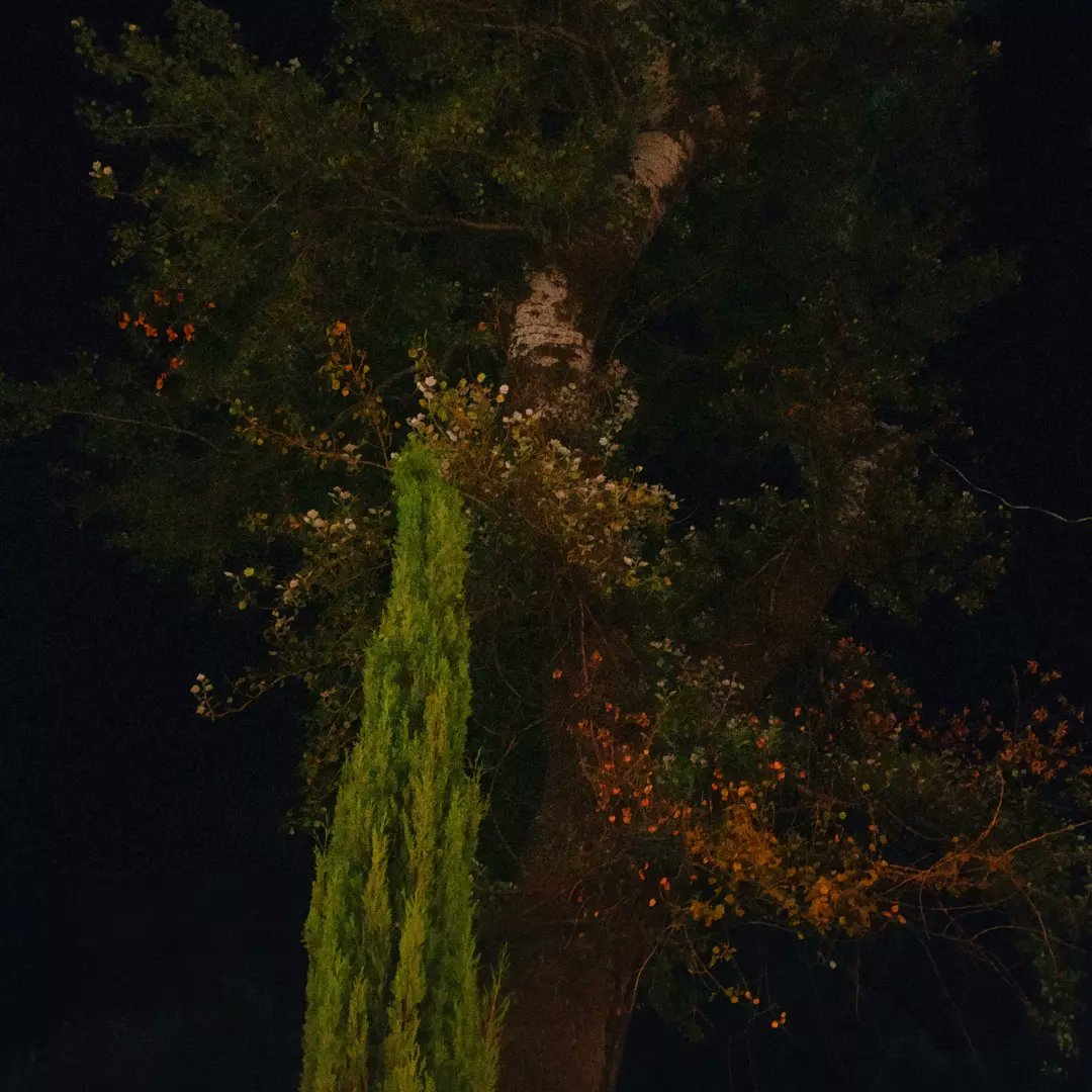 GuliGigauri's tweet photo. These places always help me to think about my sadness...

Good night everyone. https://t.co/MzDre77weg