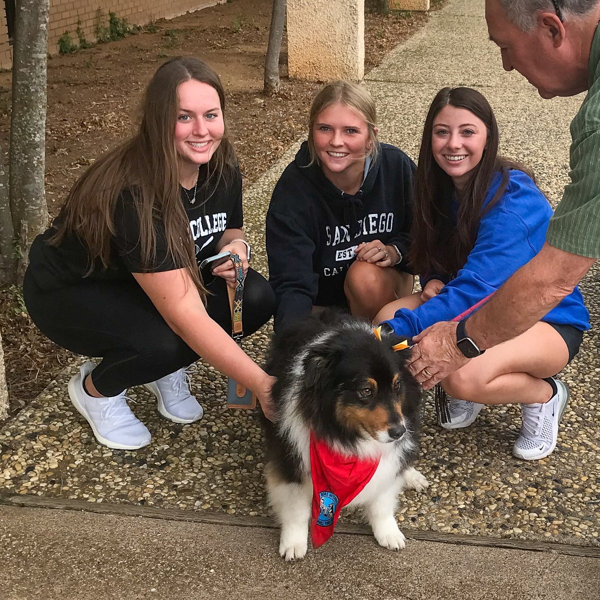 CiscoCollege's tweet photo. Therapy dogs were on both campuses this morning and will be back through Thursday, 9:00 AM - 1:00 PM. Stop by room 122 in Abilene or the Maner Memorial Library in Cisco to visit them. https://t.co/pT3zrWrIHr