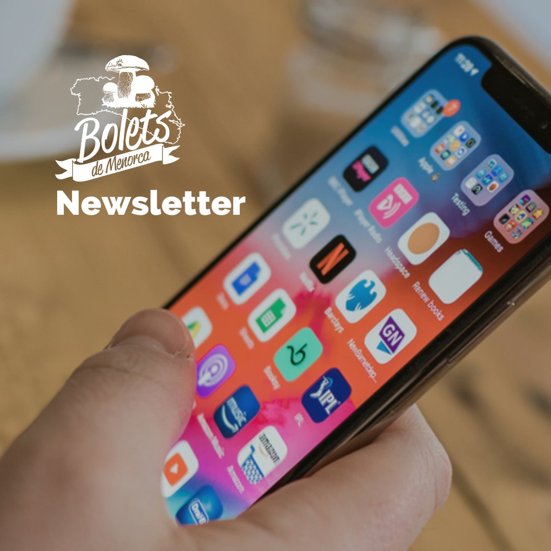 boletsdemenorca's tweet photo. 📲Haz click en el link de nuestra BIO y podrás suscribirte a nuestra NEWSLETTER

📩Recibe en tu correo todas nuestras novedades, ofertas y promociones

#boletsdemenorca #bolets #setas #productolocal #productodemenorca https://t.co/ouww0D6hlH