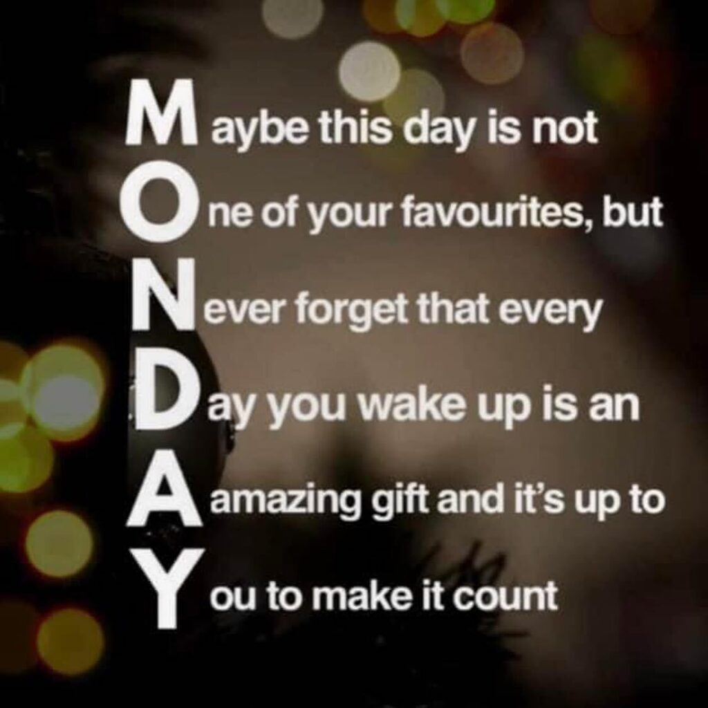 melmeyer2's tweet image. Happy Monday! instagr.am/p/ChktsWoOiLC/