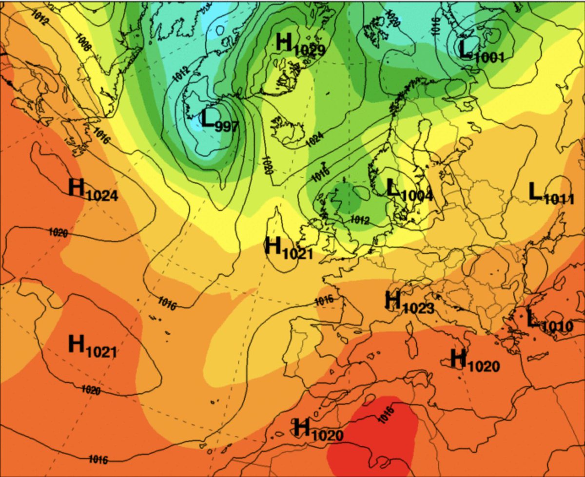 Michael vd Poel tweet media