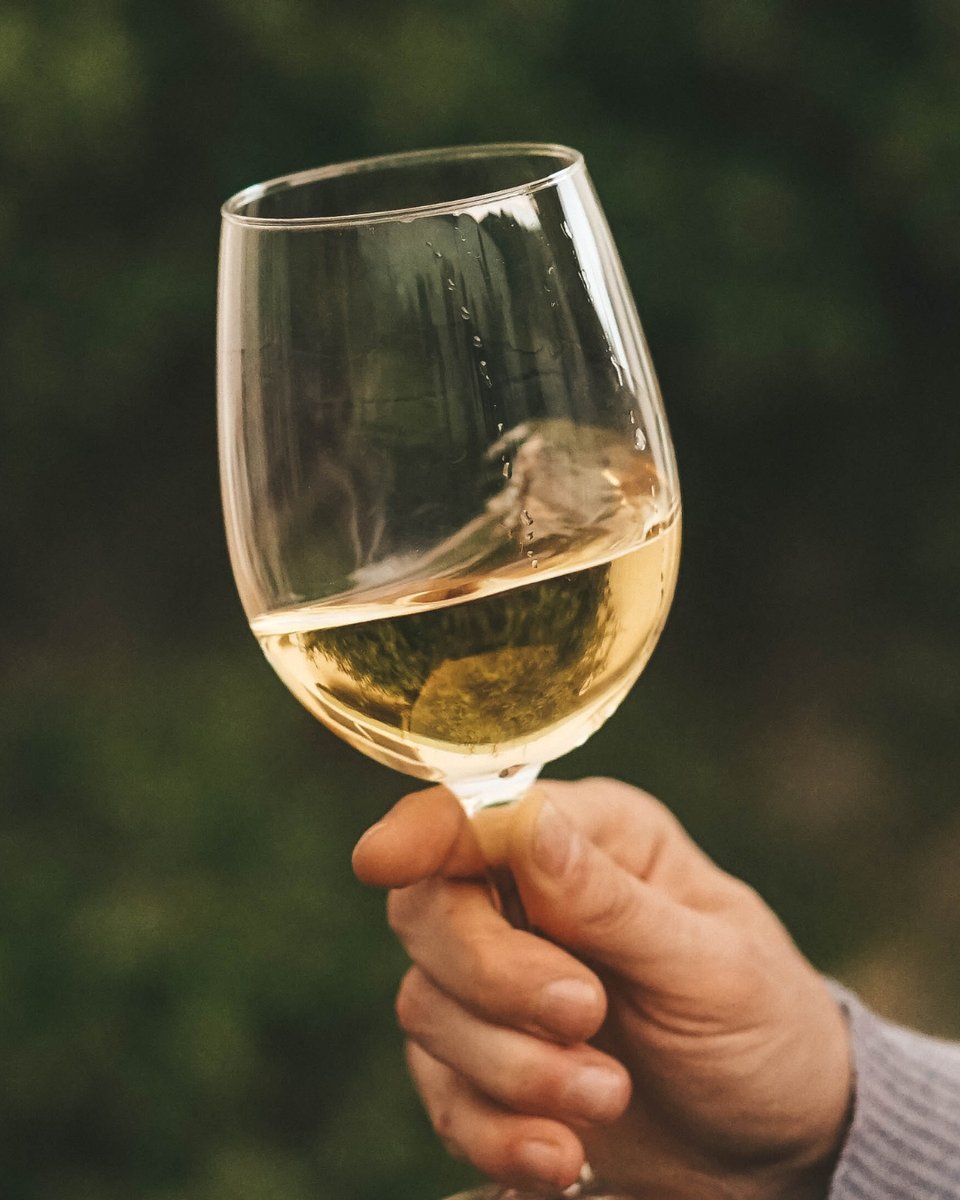 La verdadera belleza de un vino proviene de su resplandor. 

¡Descubrí las más exquisitas etiquetas en nuestra tienda online!

Hacemos envíos a todo el país ✈️