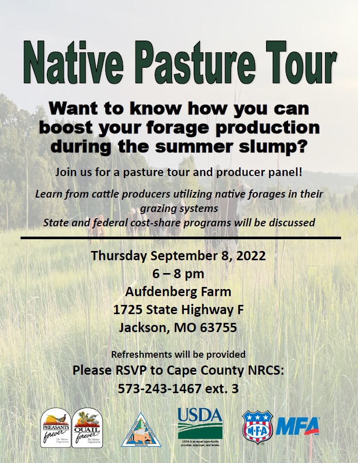 MissouriQF's tweet photo. NATIVE PASTURE TOUR: Join @MissouriQF, @MDC_online, @USDA_NRCS & @MFA_Inc on Sept. 8 in Jackson for a native warm season grass pasture tour & producer panel! This is a free pasture tour, but please RSVP!
#grazing #nativegrasses #plantnative #conservation #habitat #nativeforage https://t.co/vSBsZ3uNbe