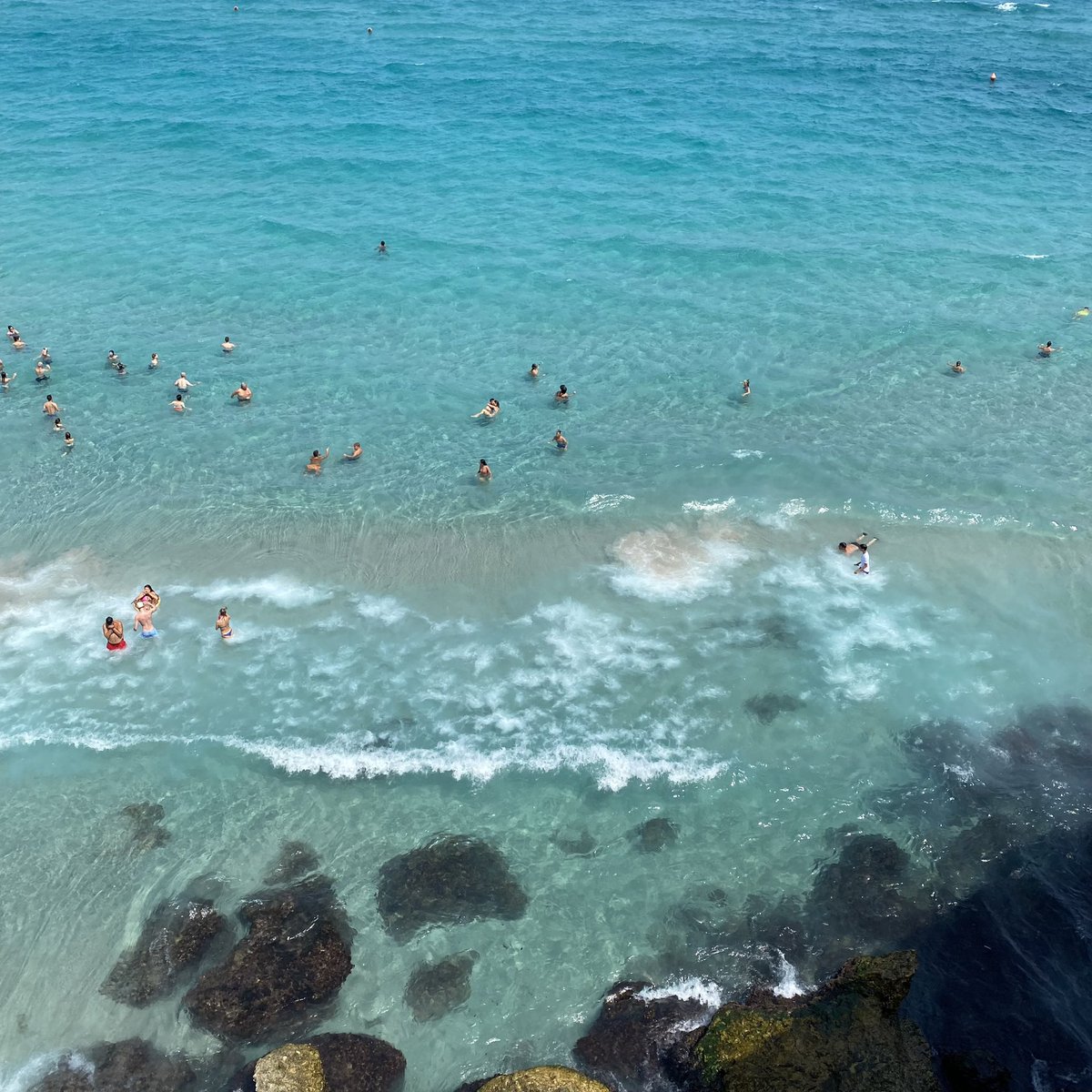 mazmat97's tweet photo. Rimasugli della Puglia https://t.co/7K7J49qNG8