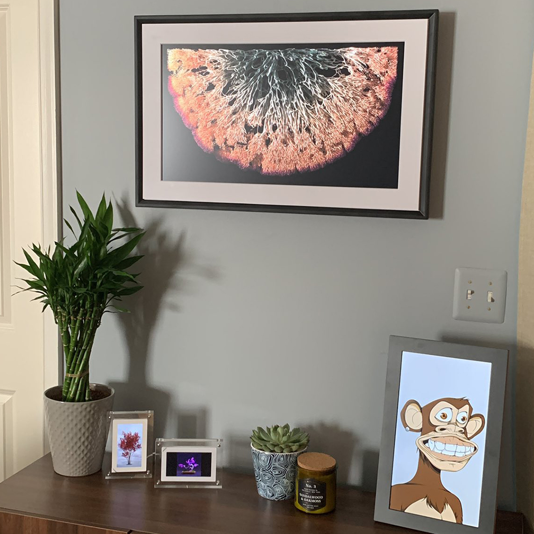 Turns your home into a high-end gallery with Meural giving you access to a massive collection of abstract paintings, iconic photography, renaissance masterpieces, and surrealist NFTs.
📷Credit: <a href="/BarcodeBrenda/">barcodebrenda 🍌🥑</a>
bddy.me/3wmBW0l
#DigitalCanvas #NFTArt #nft #nftcollector #Art