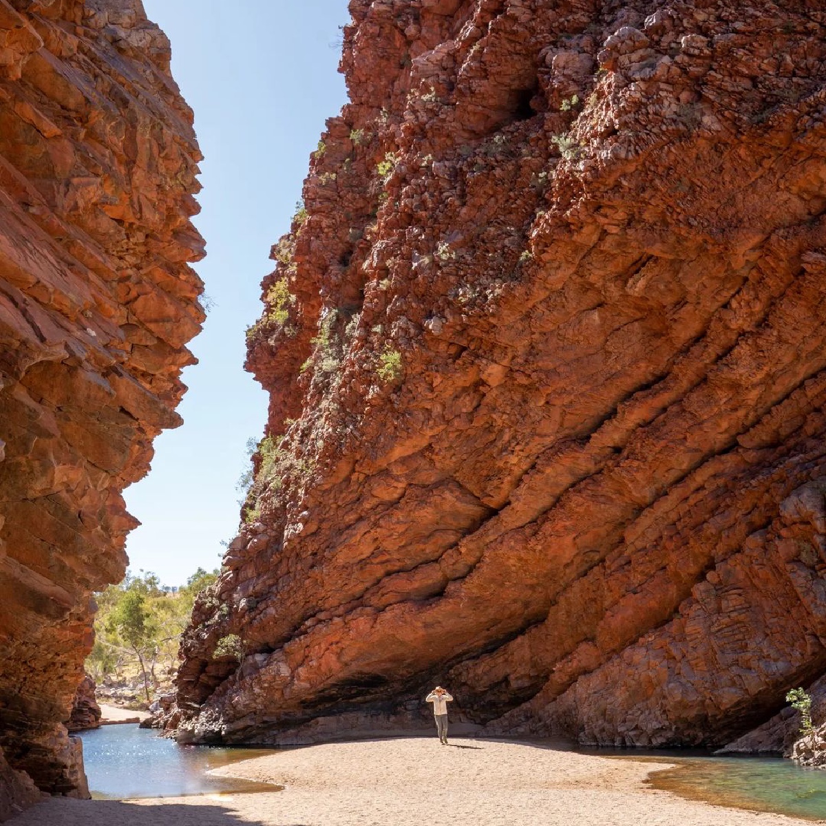 Australia's tweet photo. Can you believe this epic spot is only 15-minutes from #AliceSprings?! ๐คฏ๐
Welcome to Rungutjirpa (#SimpsonsGap) in @NT_Australia's Tjoritja (#WestMacDonnellRanges), captured here by IG/all.about.adventure.
#seeaustralia #ntaustralia #visitcentralaus #holidayherethisyear https://t.co/oOXuD6Yqbs