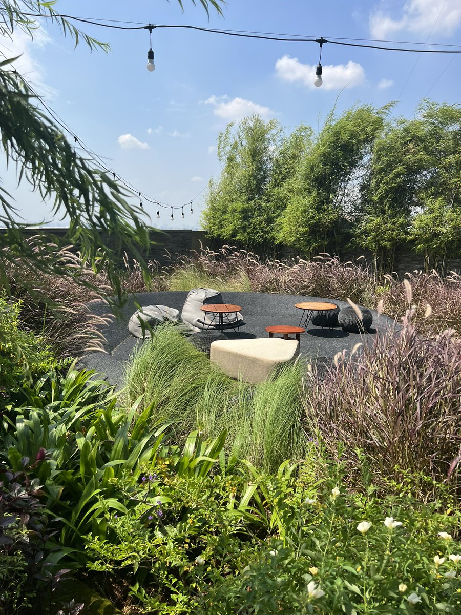 Touching lots of grass