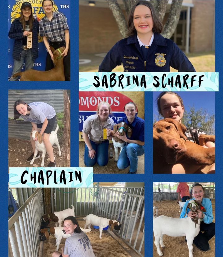 James E. Taylor FFA tweet media