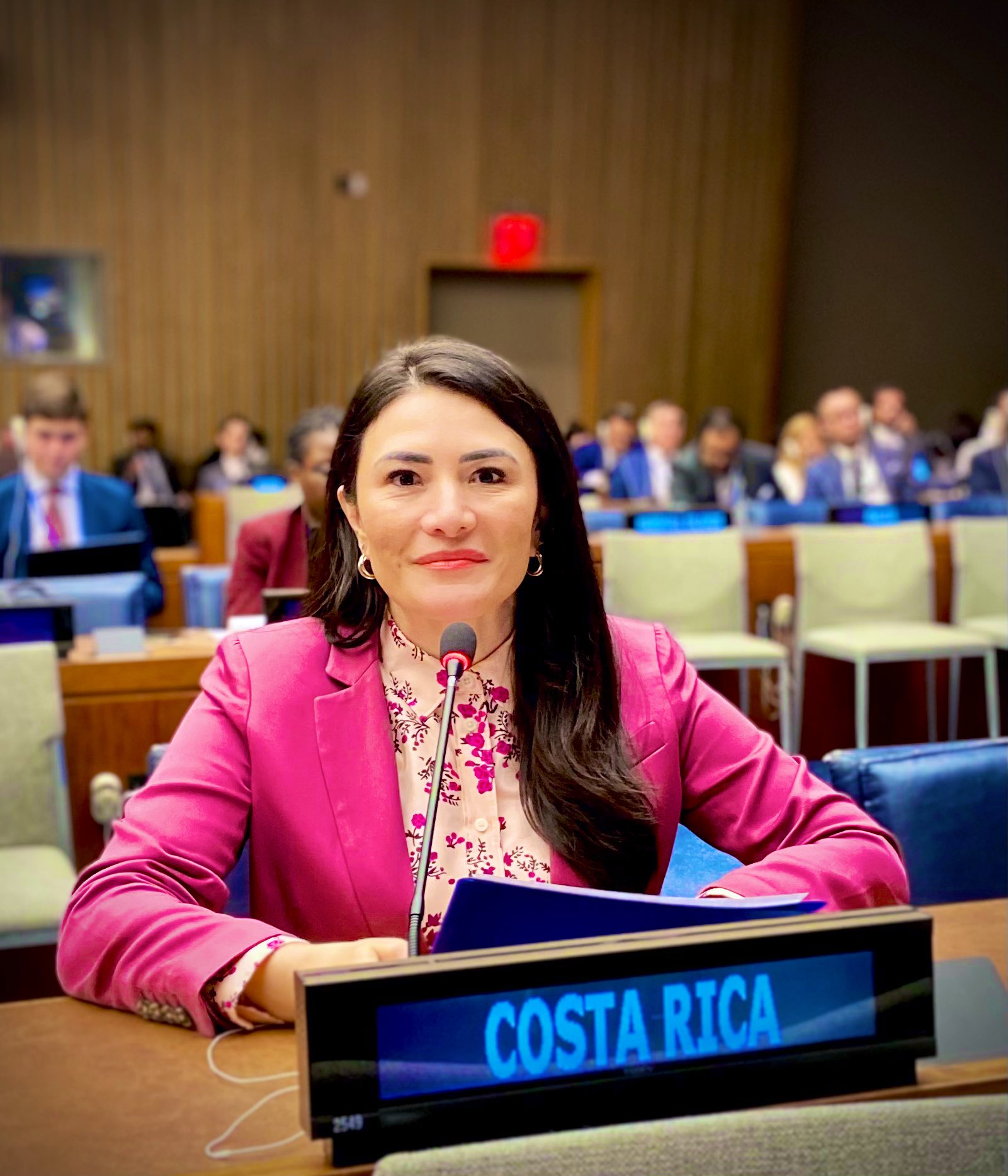 Ambassador Maritza Chan, Representative of The Permanent Mission of Costa Rica to the United States, after delivering a joint statement on behalf of 145 Member States expressing concern about the catastrophic humanitarian consequences of nuclear weapons. 