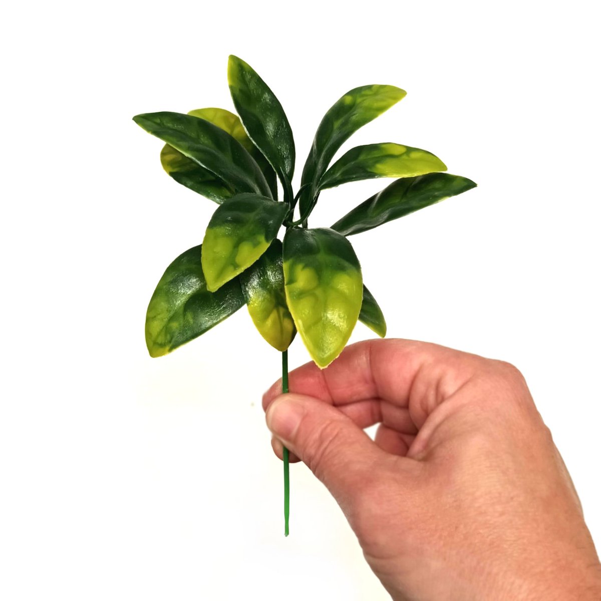 ArtificialDevon's tweet photo. Artificial Foliage...great for decorating seasonal events, weddings and floral displays! Dispatched from our Devon, UK warehouse! https://t.co/4a4Vki22UP #wedding #weddinginspiration #weddingdecor #florist #homedecor #summer #autumn #summerwedding #flowerdisplays #weddingplanner https://t.co/ZKtLubjjAZ