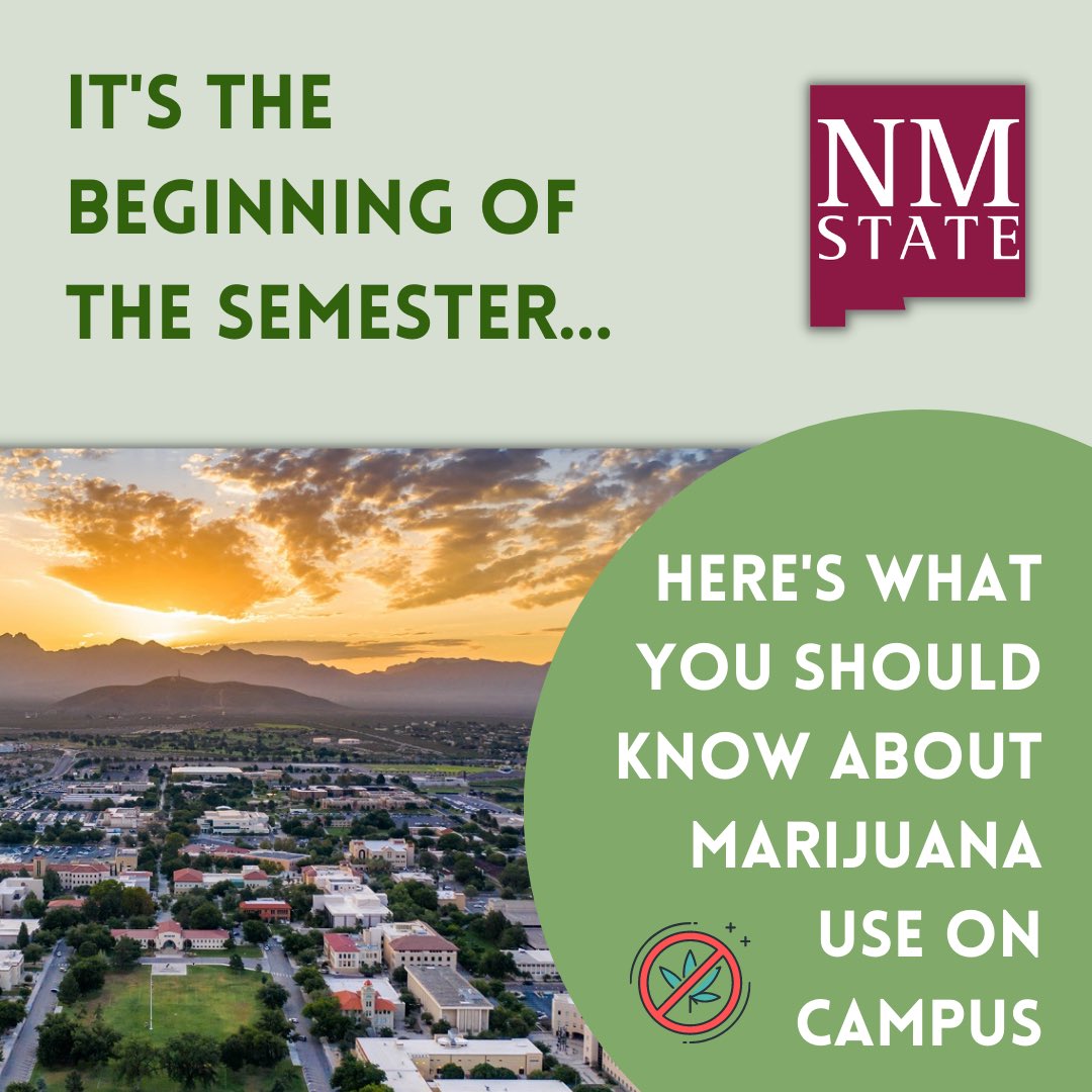 OHPNMSU's tweet photo. Hey Aggies! Here’s what you should know about marijuana use on campus, as well as the effects it can have on you. 👮🏻‍♂️🤷🏽😵‍💫

Have questions? Check out the resources on the last slide.

#nmsu #nmsuaggies #aggies #marijuana #safety https://t.co/RVVUS3U37B