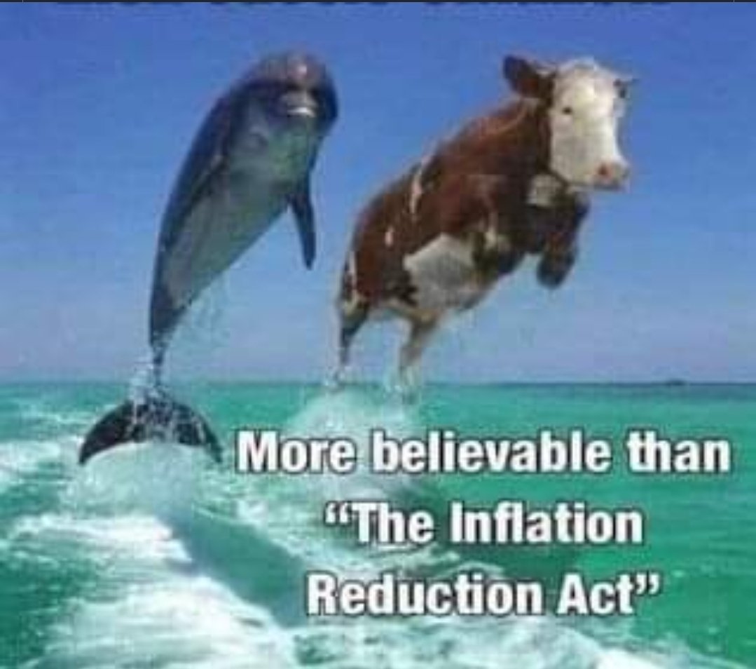Griiminfo's tweet photo. @WhiteHouse @POTUS @SpeakerPelosi @GOPLeader Kevin Your Fuukin Trash @LeaderMcConnell look you walking Skelton America's sick of your Rino Shenanigans https://t.co/aa7dtW9Wdw