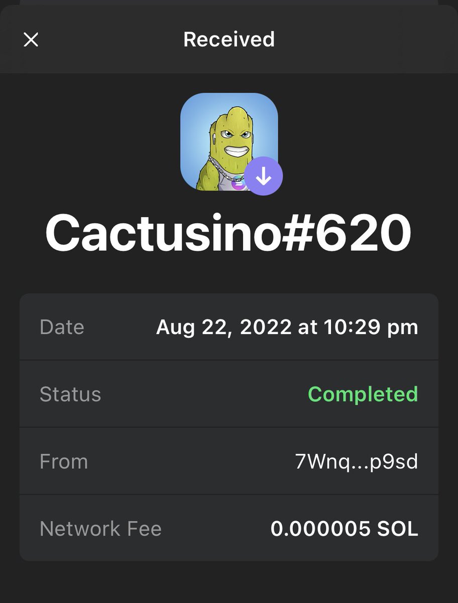 CheJohnsson's tweet photo. So.. decided to buy 3 more of them Cactus today.. got nr 4 for free 🌵🚀🔥 thank you @Cactusino_SOL #CACTISH https://t.co/y8mfk40dwn