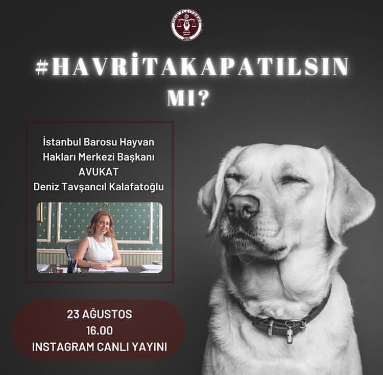 ahfp2015's tweet photo. Son günlerde gündemden düşmeyen Havrita uygulamasını konuğumuz İstanbul Barosu Hayvan Hakları Merkezi Eski Başkanı Avukat Deniz Tavşancıl Kalafatoğlu ile değerlendireceğimiz Instagram canlı yayınımız 23 Ağustos Salı günü 16.00'da hepinizi bekliyoruz. https://t.co/ttKNl3j6dA