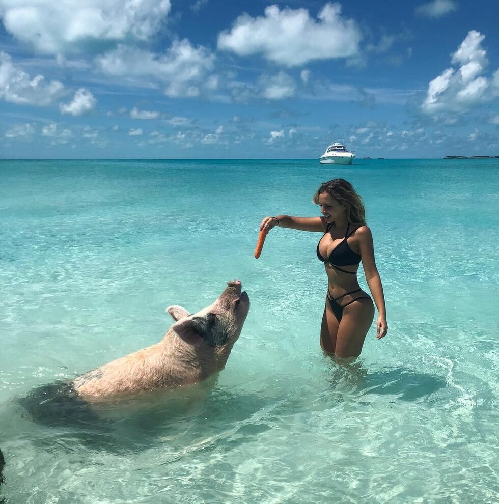 CFGoddessEllaa's tweet photo. Throwback to taking one of my subs on holiday. 

Catfish findom findomme UK cashslave humanatm finsub paypig piggy cuck beta https://t.co/o0EOWXHOMH