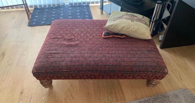 Taylor Rae Interiors tweet media