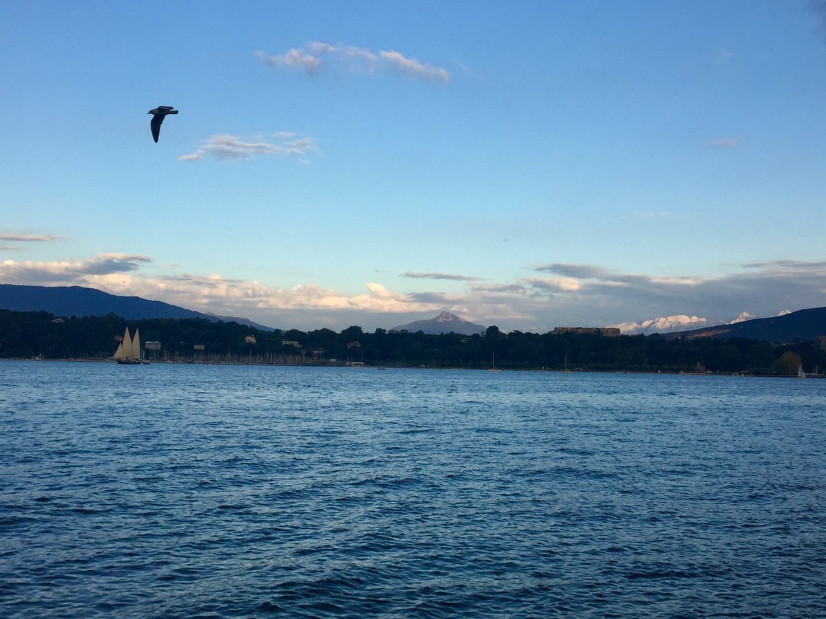 GmurHelen's tweet photo. Genf 🇨🇭 Heute Abend. #Outsideisfree #running #addingKm #beautifulevening #greatviews #MontBlanc #LeMole #France #Sailing #LacLeman #Swans #Birds #whatasky #incrediblecolours #Nature #Clouds https://t.co/NsBmYxqSrc