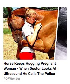 Quite possibly the greatest clickbait I’ve ever seen.