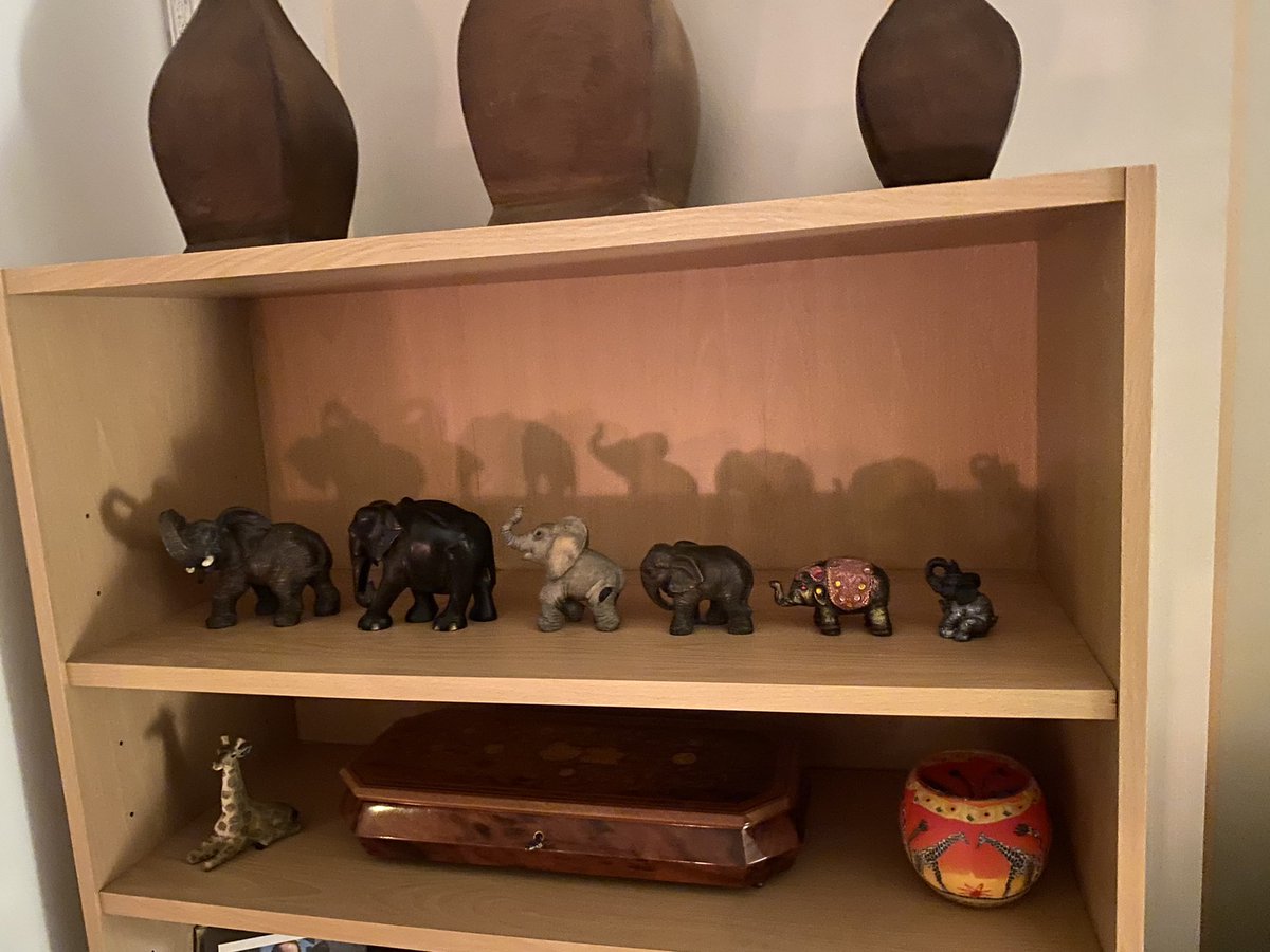 Scott McGuire tweet media