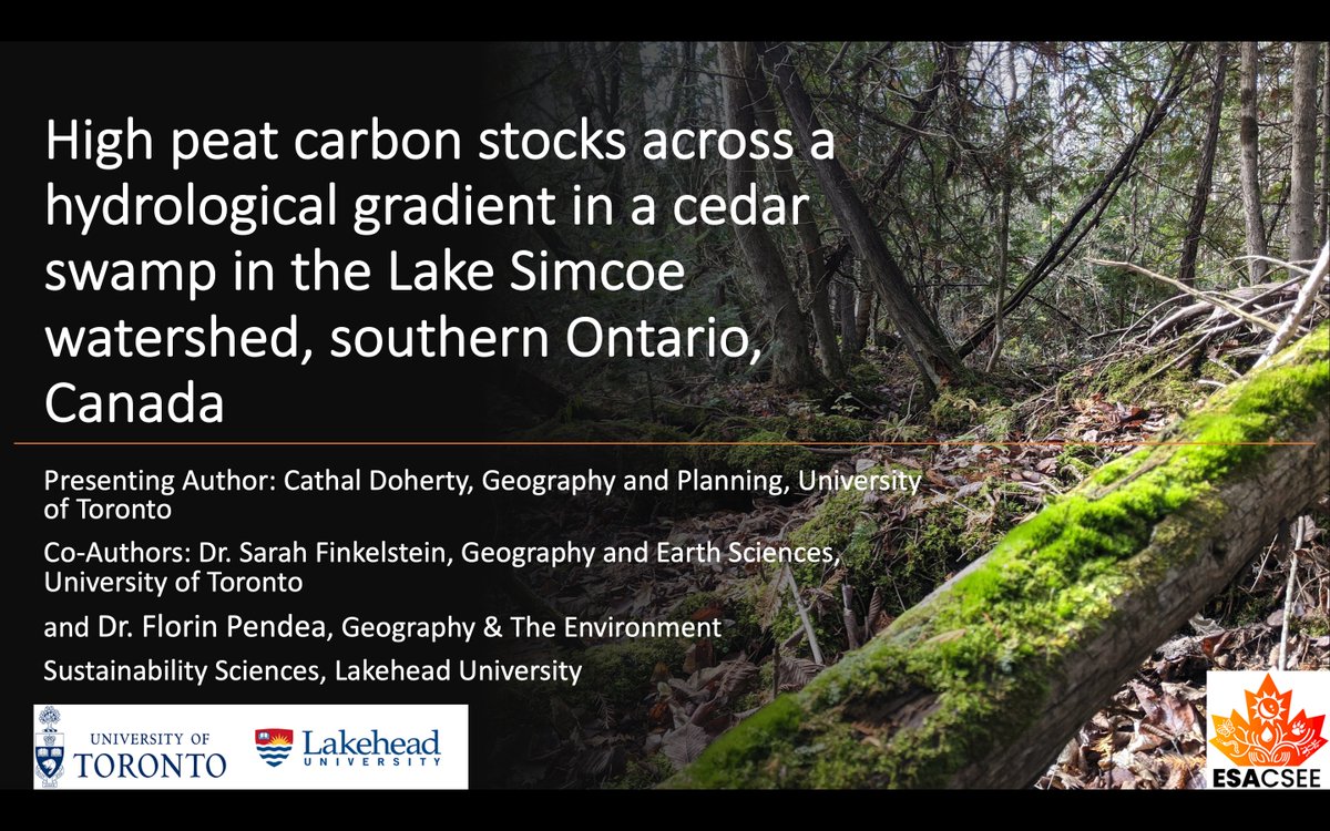 Cathal Doherty tweet media