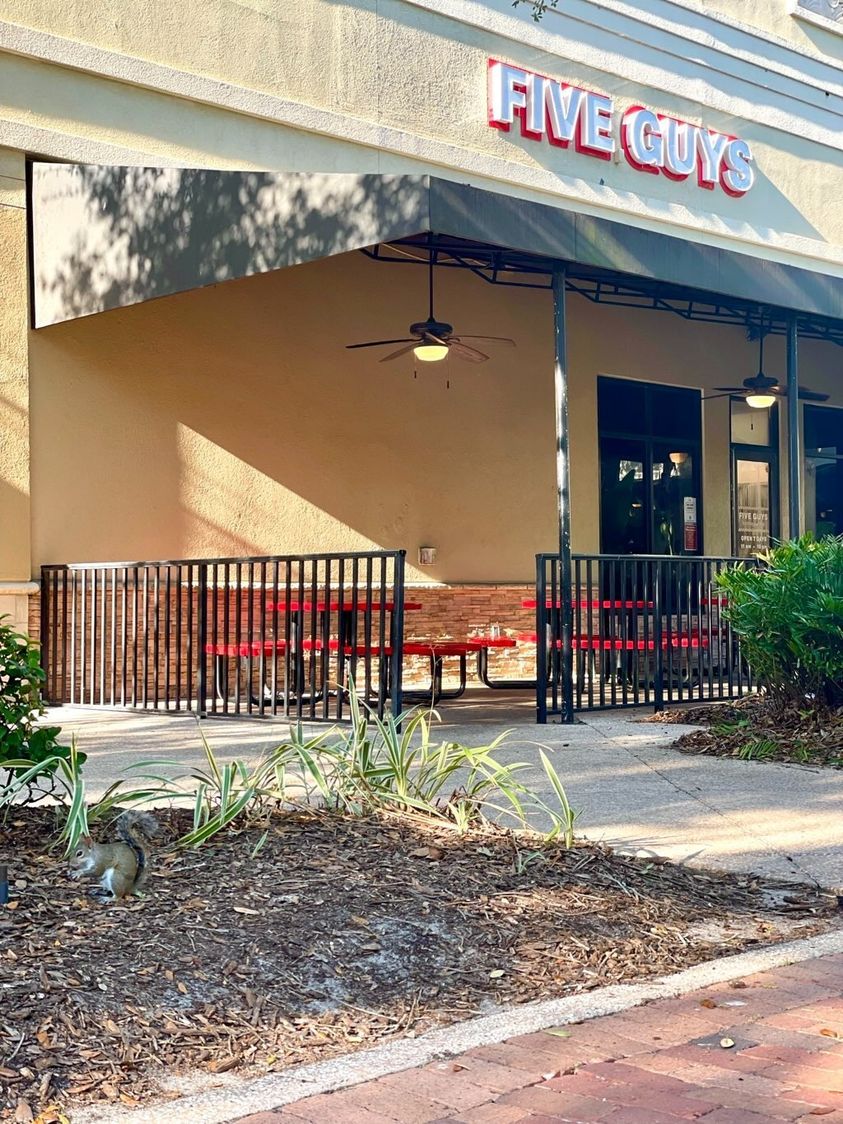 Can you find the squirrel? Comment 🐿️ when you find it. 

#Viera #MelbourneFL #Brevard #TheAvenue #BrevardFL #VieraFamily #VieraFL #RockledgeFl #VieraCommunity #theavenue #TheAvenueViera #brevard #MelbourneFl #TheAvenueViera #BrevardCounty #Squirrel #CentralPark #FiveGuys